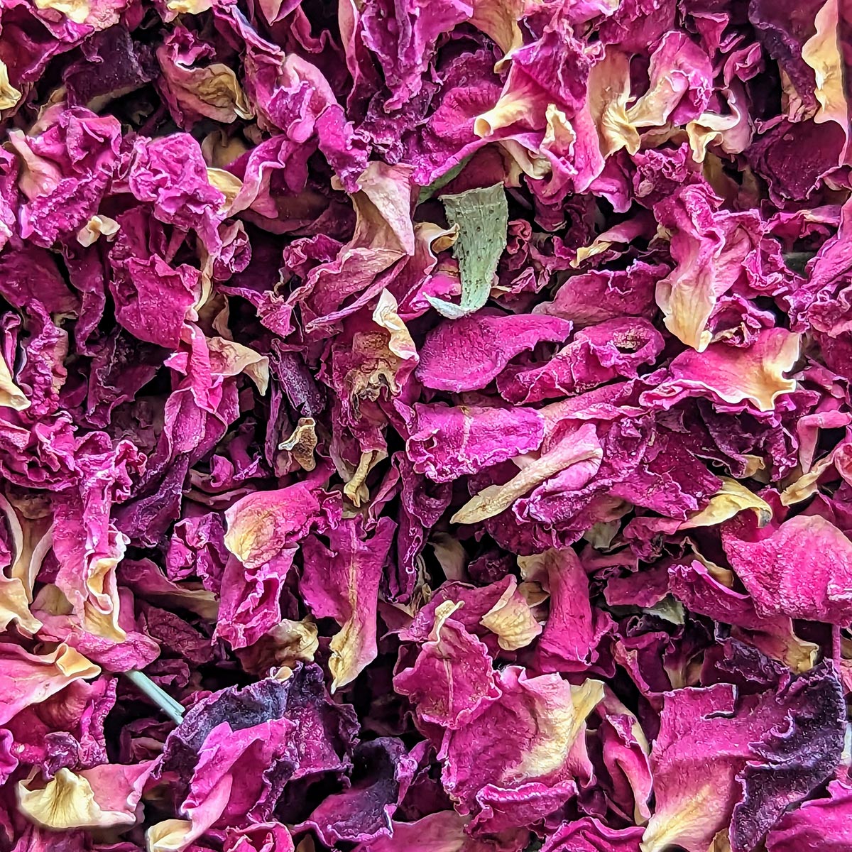 rose a skincare love affair for Angela Langford
